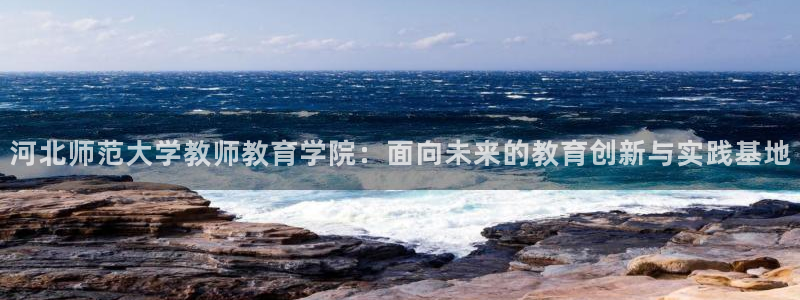 新宝股东张听2 5 5