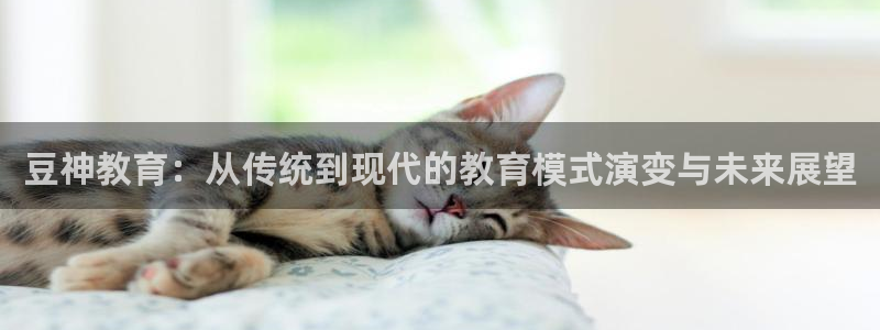 新宝5官网霸