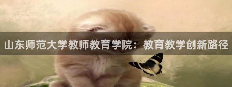 新宝5官方登录入口