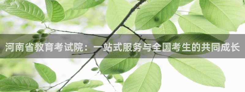 新宝5登陆地址