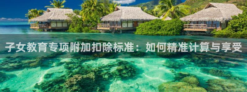 新宝堂新会陈皮5年