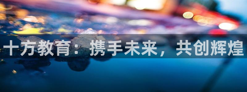 新宝5怎么代理