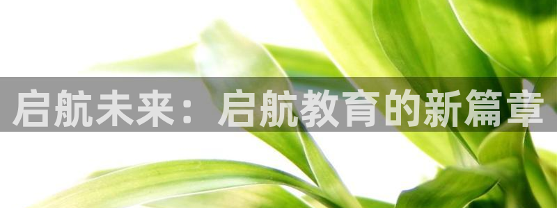 新宝5导师