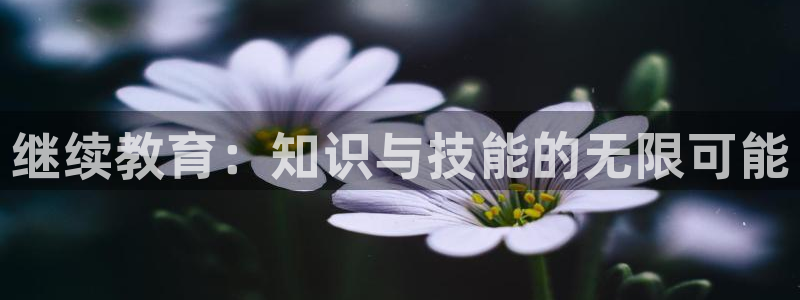 新宝j2O5O5O