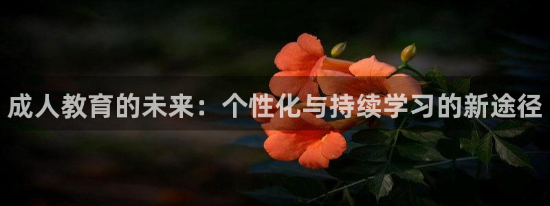 皇冠新宝5