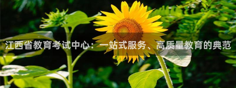 新宝股东张听2 5 5