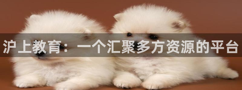 新宝5褚74OOO5