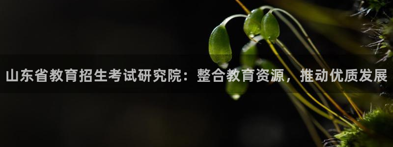 新5宝