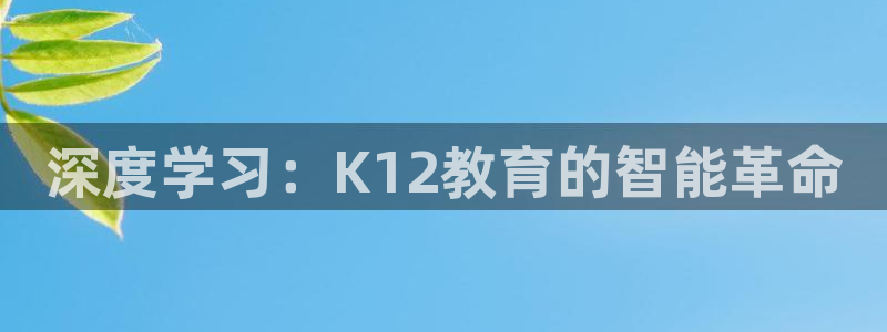 新宝5网