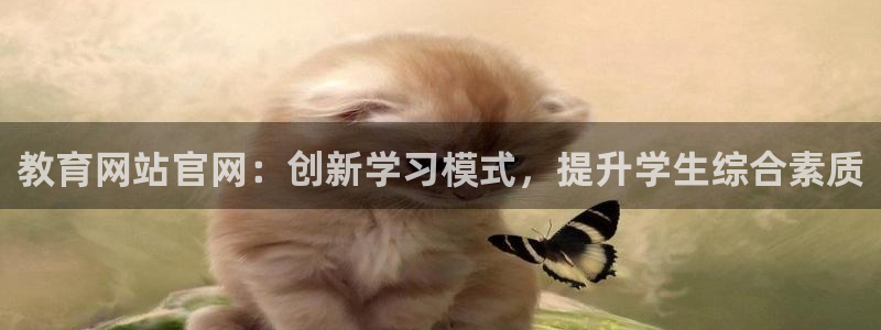 新宝m2O5O5O