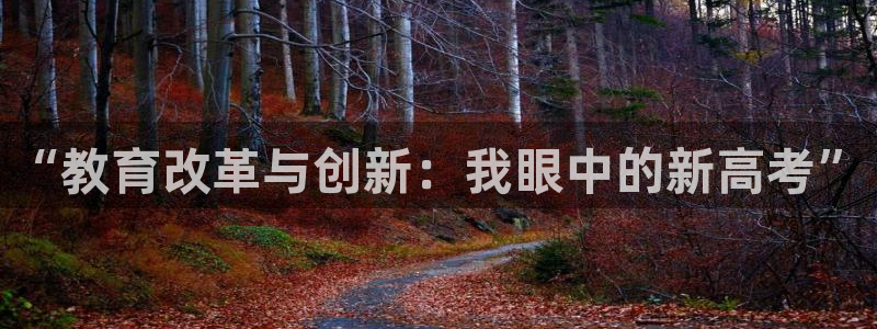 新宝5测速下载