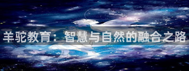 新宝5手机测速