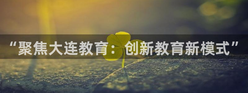 新宝5娱乐没