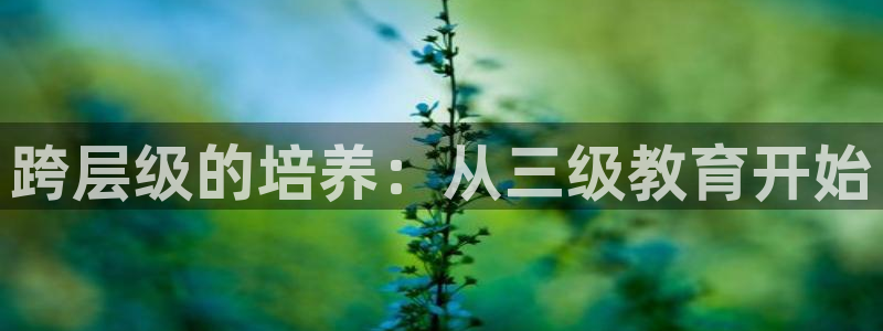 新宝5软件下载