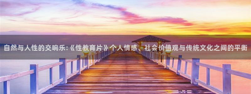 新宝5系列