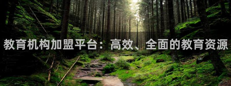新宝堂新会陈皮5年