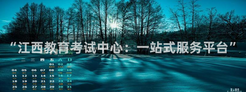 新宝堂新会陈皮5年