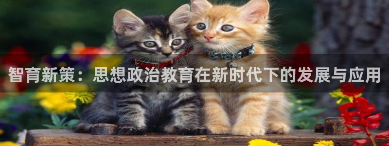 菲律宾新宝5老板