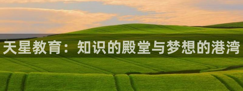 新宝5是什么