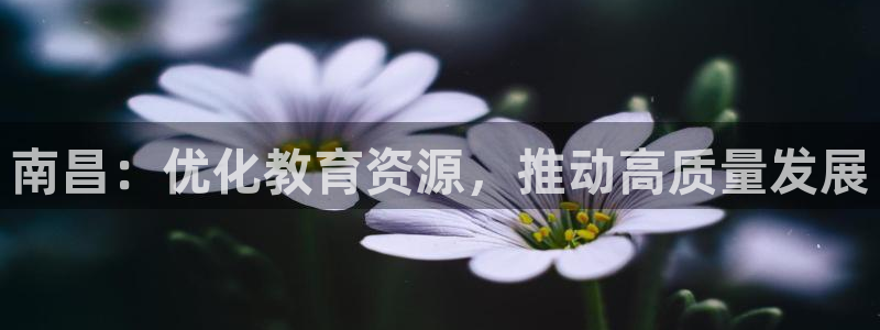 新宝5软件下载