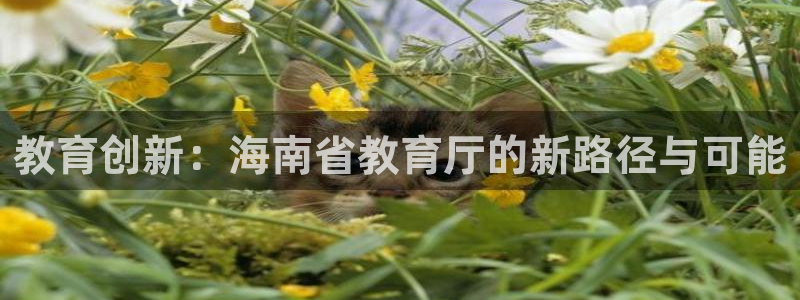有人知道新宝5么
