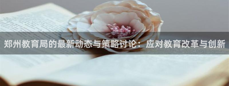 新宝5是什么样子的