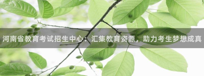 新宝5平台霸
