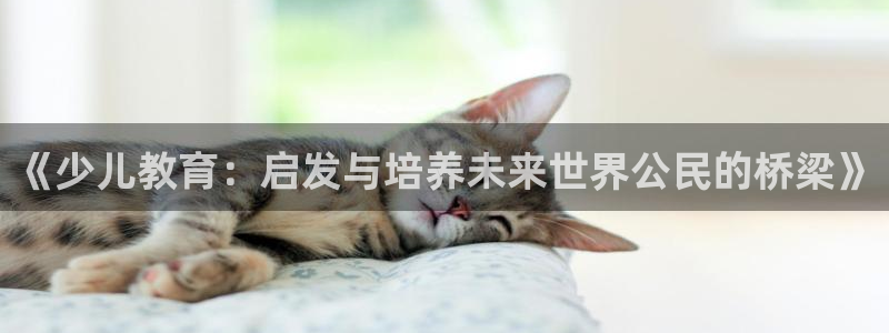 新宝5app手机下载