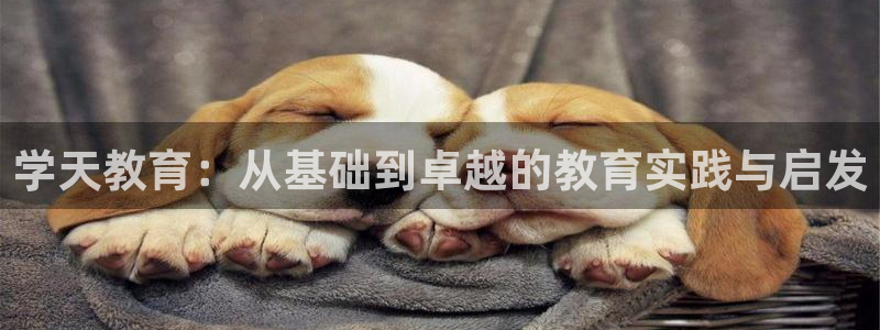 新宝5官网app