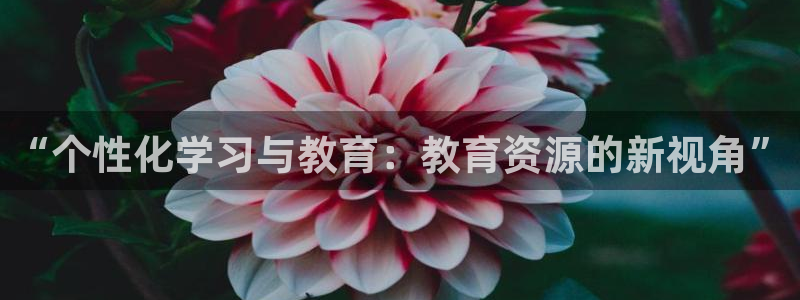 新宝5导师