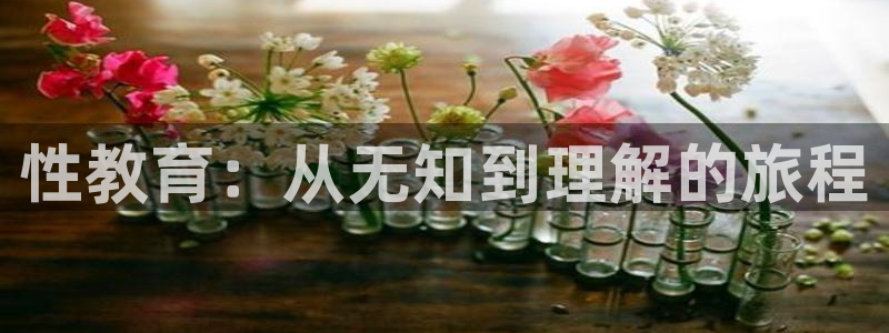 新宝5测