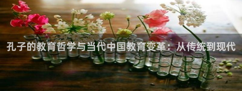 新宝5登陆