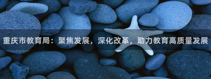 新宝5官网app