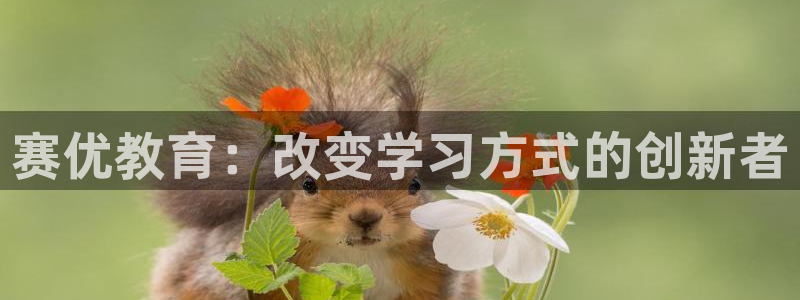 新宝5娱乐然