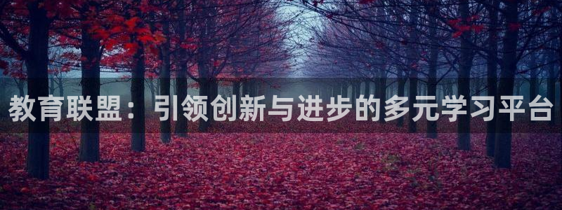 新宝5 - 测速登陆