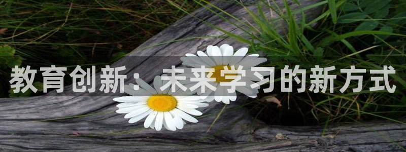 新宝5娱乐经