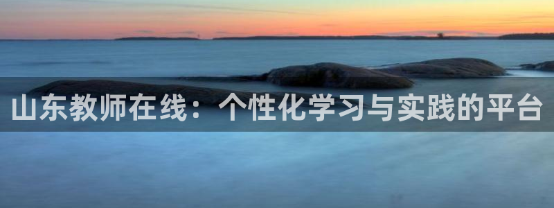 新宝股东瞧听2 5 5