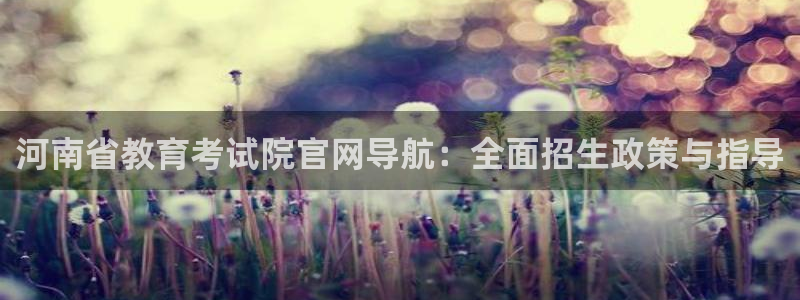 新宝5什么时候上市