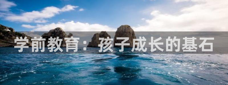 新宝股东王听2 5 5