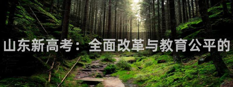 新宝5官网67五壹叁八