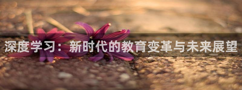 新宝5是什么样子的