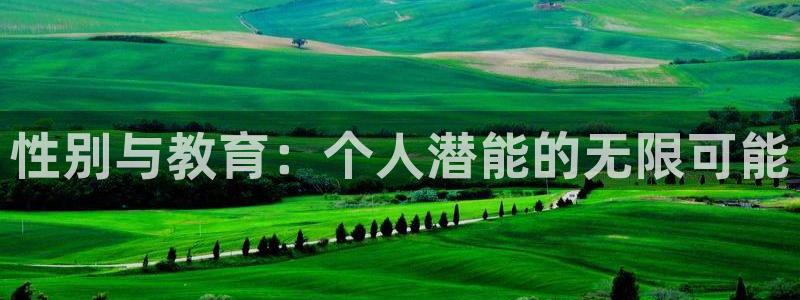 新宝5是什么样子的