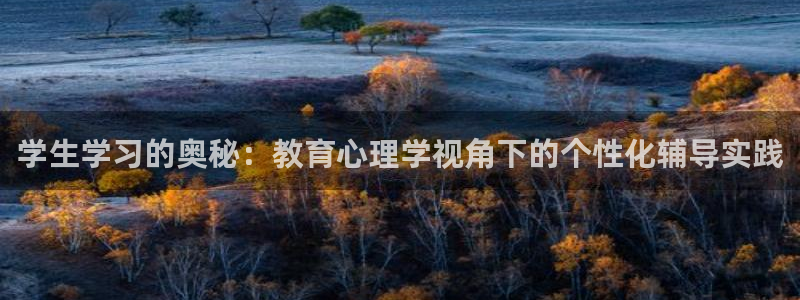 新宝娱乐5入口