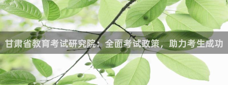新宝5娱乐网址
