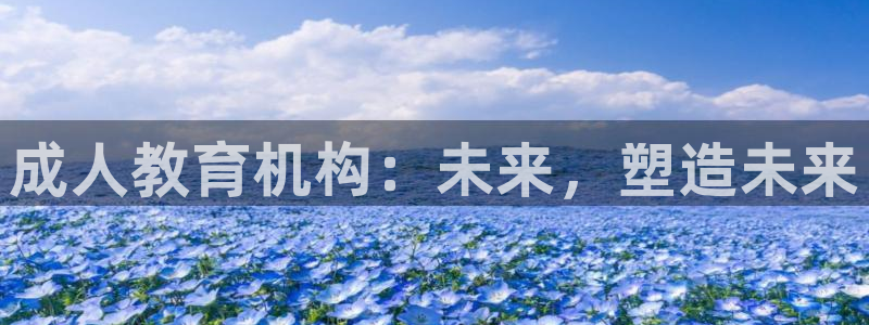 新宝5彩票娱乐平台