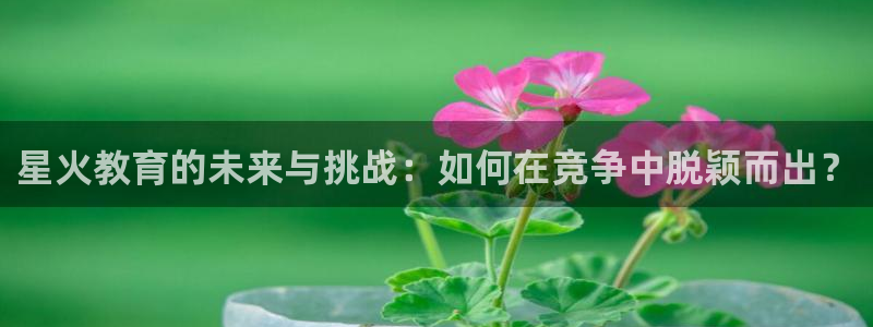 新宝5官方下载地址